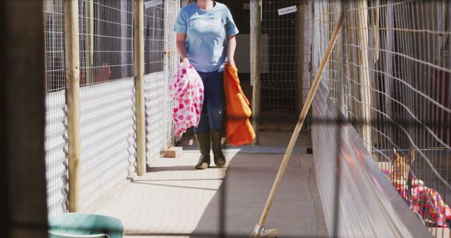 Animal shelter worker carrying blankets walking through a row of kennels. Ideal for use in animal care, pet rescue, volunteer work, and charitable organizations supporting animals in need.