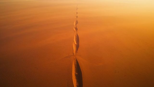 Scenic aerial view of vast desert with serpentine sand dunes