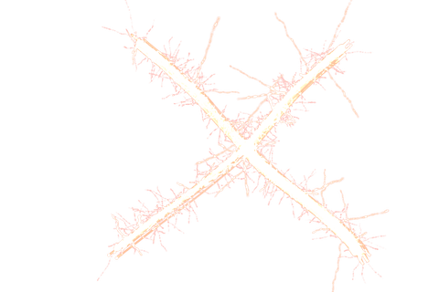 Digital X Letter with Glowing Light Trails on Transparent Background - Download Free Stock Videos Pikwizard.com