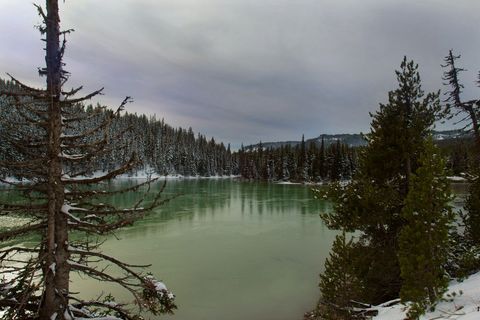 Emerald lake reflecting snow-covered evergreen forest, dead tree framing winter scene