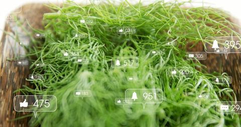 Fresh Herbs with Social Media Icons for Digital Engagement