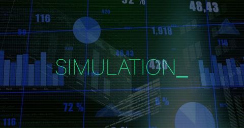 Digital simulation display with data processing visualization