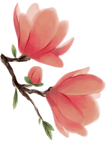 Red Flowers Watercolor Illustration on Transparent Background