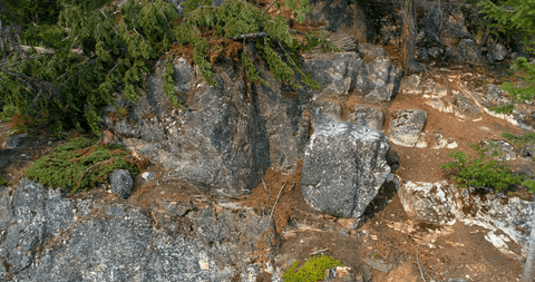 high angle view of transparent foliage on mountainous terrain - Download Free Stock Videos Pikwizard.com