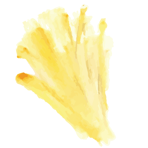 Digital yellow feathery pattern with transparent background