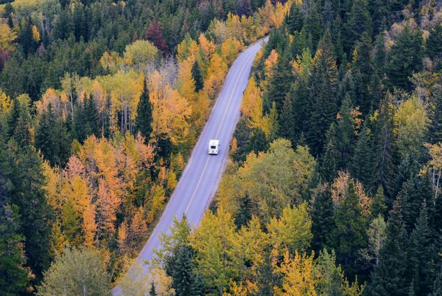 Aerial view showing a truck driving on a road surrounded by dense autumn foliage in a forest. This represents travel, road transportation, and seasonal scenery. Ideal for use in articles about travel, adventure, road trips, or nature. Can also be used in advertisements for transportation services, tourism, or environmental awareness campaigns.