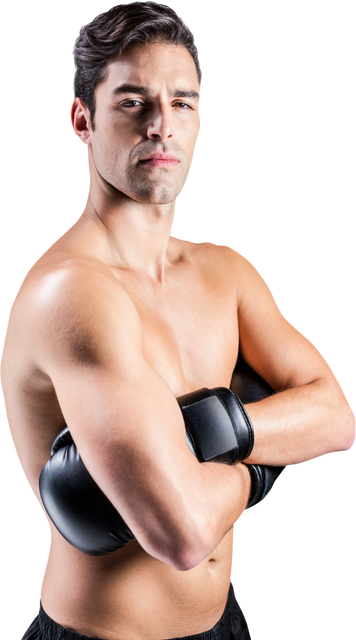 Transparent Portrait of Determined Boxer with Boxing Gloves Crossed - Download Free Stock Videos Pikwizard.com