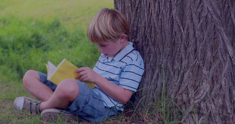 Young Boy Enjoying Reading by a Tree in Park