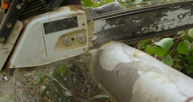 Close-Up of Electric Chainsaw Cutting Tree Log in Forest - Download Free Stock Images Pikwizard.com