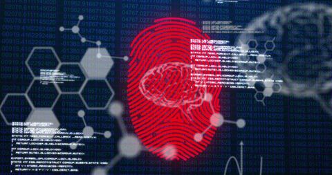 Fingerprint with Digital Data Processing Concept - Download Free Stock Images Pikwizard.com