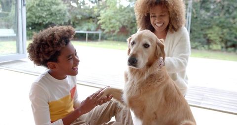Joyful Family Time with Dog in Modern Home Environment