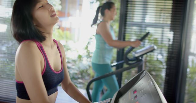 Women Exercising in Gym on Treadmills and Ellipticals - Download Free Stock Images Pikwizard.com