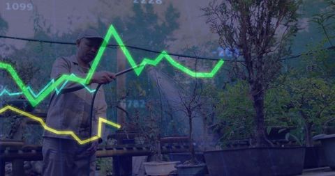 Gardener nurturing plants with data projection displayed