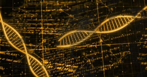 Dna strands and data processing on digital screen