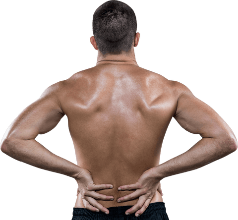 Transparent Rear View of Athlete with Back Pain Displaying Muscular Build