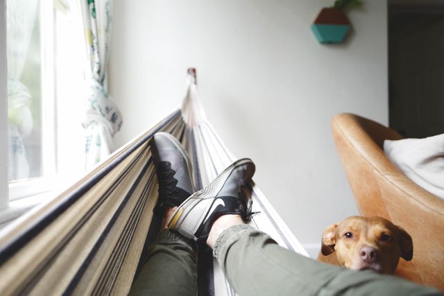 Person relaxing in a hammock inside a cozy living room, with a dog nearby next to a brown chair. Ideal for concepts related to home relaxation, indoor comfort, leisure time, and pet companionship. Useful for blog posts, advertisements, or articles about leisure activities, cozy living spaces, or pet-friendly homes.