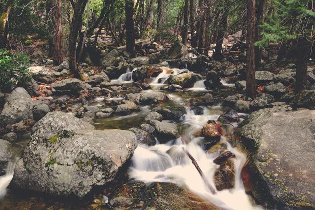 Tranquil Forest Stream Flowing Over Rocks - Download Free Stock Photos Pikwizard.com