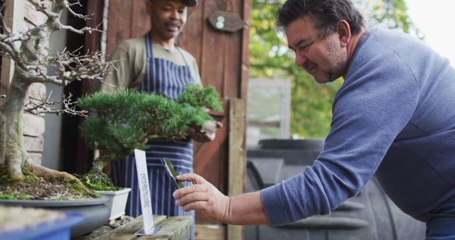 Middle-Aged Man Taking Close-Up Photograph of Bonsai Plants - Download Free Stock Images Pikwizard.com