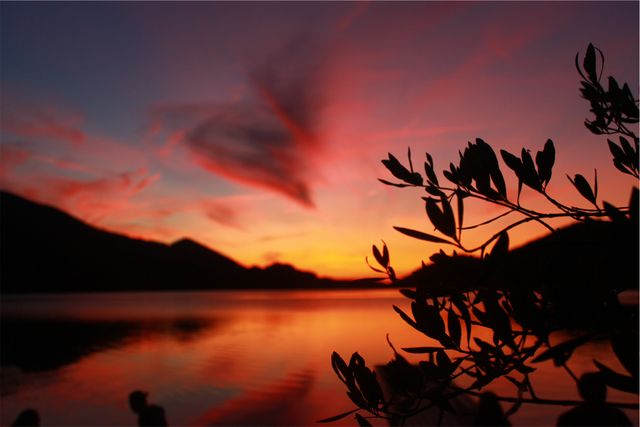 Dramatic sunset casting vivid colors across sky, reflecting on calm lake. Silhouette of plants adds foreground interest, with rolling hills in background. Perfect for nature-themed print or digital projects, relaxation and meditation visuals, screen savers, calendars, or greeting cards.