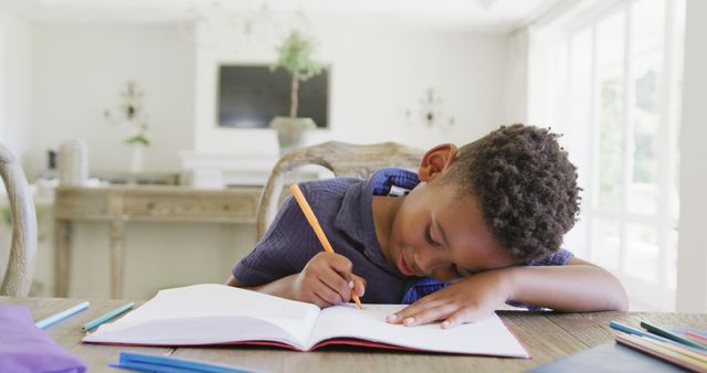 Young Boy Studying and Drawing in Notebook at Home - Download Free Stock Images Pikwizard.com