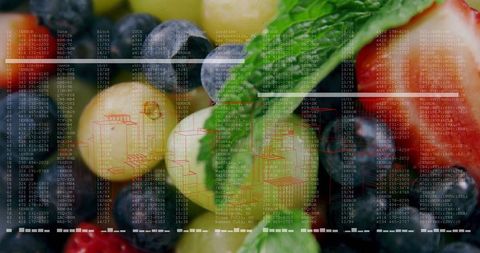 Fresh Assortment of Fruits with Digital Data Overlay