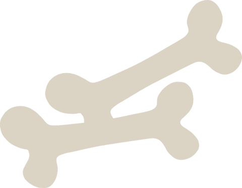 Stylized bone icons on transparent background for pet graphics