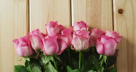 Bouquet of Pink Roses Against Wooden Planks - Download Free Stock Images Pikwizard.com
