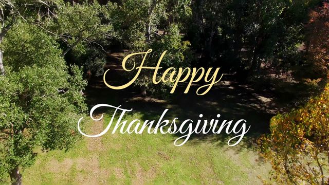 Golden and green hues dominate this aerial view of a forest with Happy Thanksgiving text overlay. Great for seasonal greetings, social media posts celebrating Thanksgiving, and showcasing autumn scenery. Perfect for promoting holiday gatherings and scenic beauty.