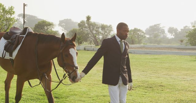 Elegant Horseman Walking Horse in Sunlit Ranch - Download Free Stock Images Pikwizard.com