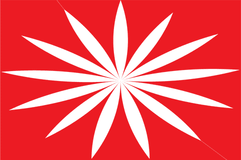 Red Card with Floral Cut Out on Transparent Background - Download Free Stock Videos Pikwizard.com