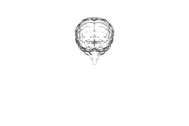 Illustration of Black Brain Symbol on Transparent Background - Download Free Stock Videos Pikwizard.com