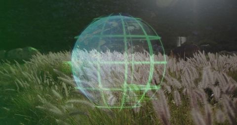 Holographic Globe Over Meadow Illustrates Futuristic Environmental Concepts