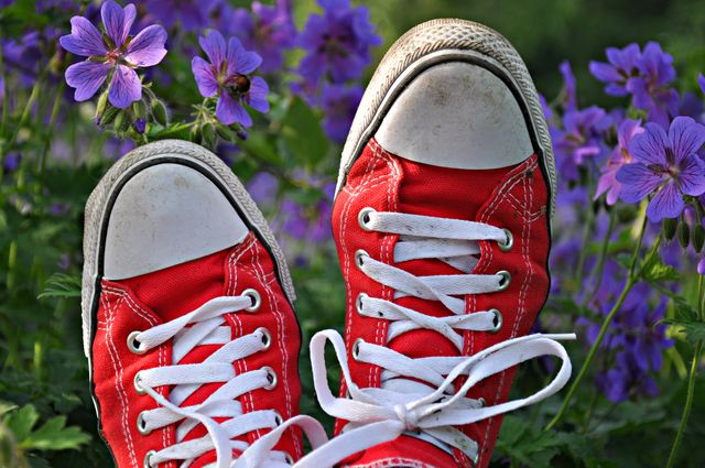 Close-Up of Red Canvas Shoes In Blooming Flower Garden - Download Free Stock Photos Pikwizard.com