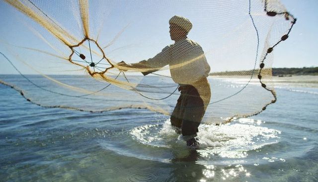 Backlit fisherman casting circular net while wading shallow coastal waters at sunrise