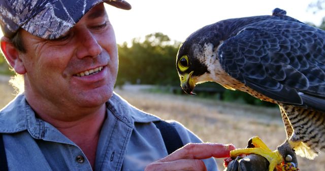 Man training falcon in natural countryside. Ideal for wildlife conservation, animal training, and outdoor lifestyle themes.