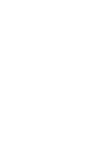 Minimalist white line drawing of leafy branch, transparent background