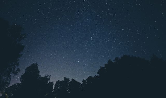 Night Sky with Stars Above Forest Silhouette - Download Free Stock Photos Pikwizard.com