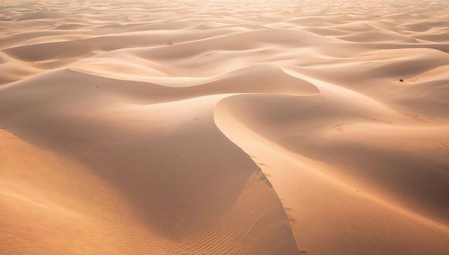 Golden desert dunes flowing under sunrise light with soft ripples and long shadows