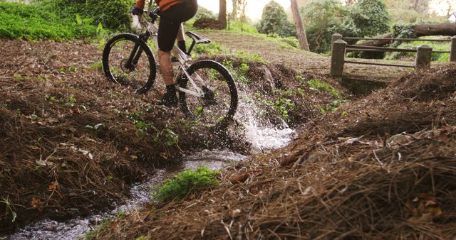 Mountain biker splashing through a forest stream, embodying the thrill of outdoor adventure. Perfect for promoting fitness, outdoor sports, nature parks, and adventure tourism.
