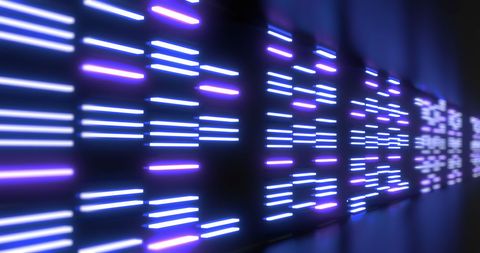 Abstract Purple Neon Light Lines on Black Background - Download Free Stock Images Pikwizard.com