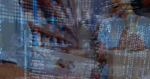 Volunteer Coordination and Data Solutions in Action