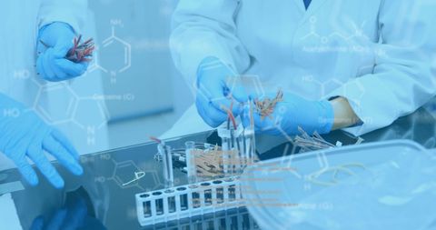 Scientists Analyzing Samples in Laboratory Setting - Download Free Stock Images Pikwizard.com