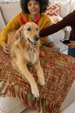 Cozy autumn golden retriever wearing red horn headband, friends smiling and petting