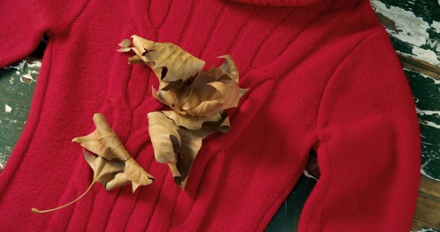 Cozy Red Sweater with Autumn Leaves on Rustic Wooden Bench - Download Free Stock Images Pikwizard.com