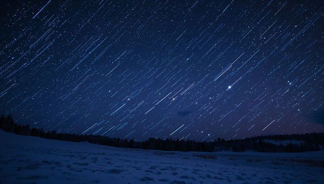 Diagonal Star Trails Over Snowy Field and Pine Treeline Long Exposure Winter Night Sky