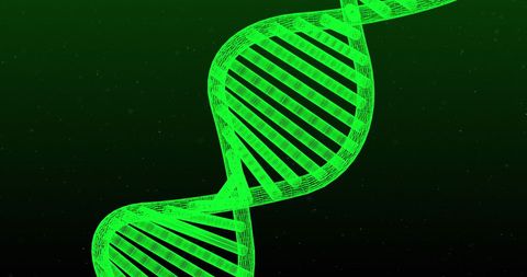 Green Glowing 3D DNA Double Helix in Motion - Download Free Stock Images Pikwizard.com