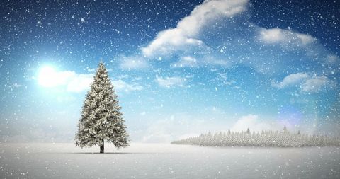 serene winter landscape with snow and evergreen tree - Download Free Stock Images Pikwizard.com