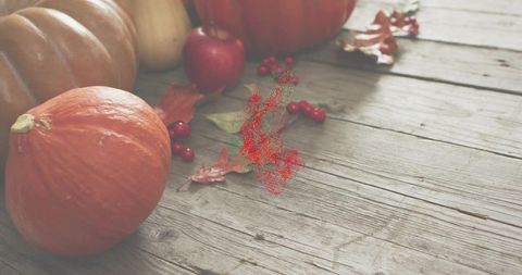 Rustic autumn pumpkin and apple sitting on weathered wood with berries, gourds and copy space