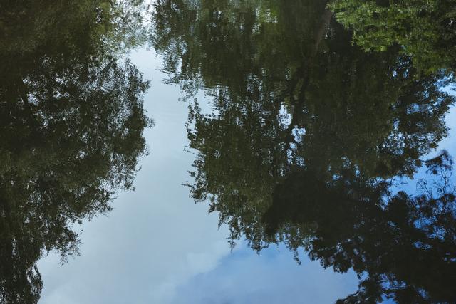 Reflection of green trees in calm river creating a serene and peaceful scene. Ideal for nature-themed projects, environmental campaigns, relaxation and meditation visuals, and scenic landscape promotions.