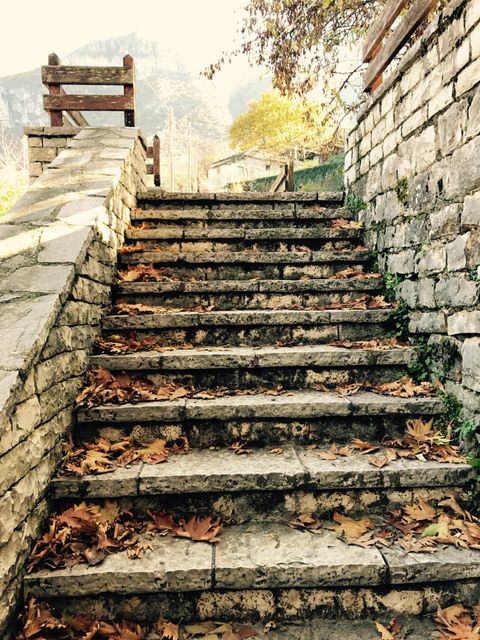 Rustic stone steps covered with fallen autumn leaves, leading up to a wooden bench in an outdoor setting. Ideal for use in themes related to seasonal changes, nature walks, outdoor recreation, or serene landscapes. Perfect for backgrounds, greeting cards, or websites focused on nature and fall season activities.